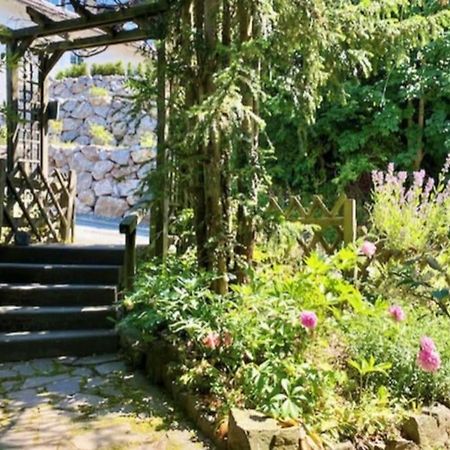 Waldseele Appartement Battenberg  Dış mekan fotoğraf