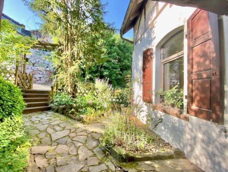 Waldseele Appartement Battenberg  Dış mekan fotoğraf